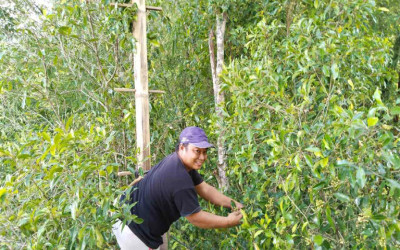 Hidup Guru yang Sederhana dan Terukur dengan Konsep Frugal Living