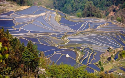 Sawah bertingkat (Terasering), Yuanyang, China